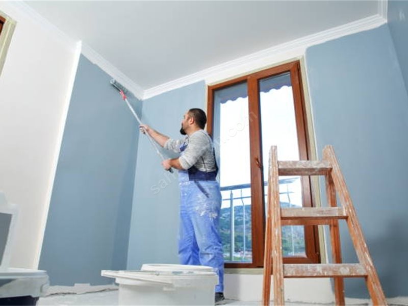 Bozdoğan Boya Badanacı